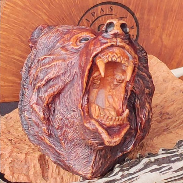 OSO - Imagen 3